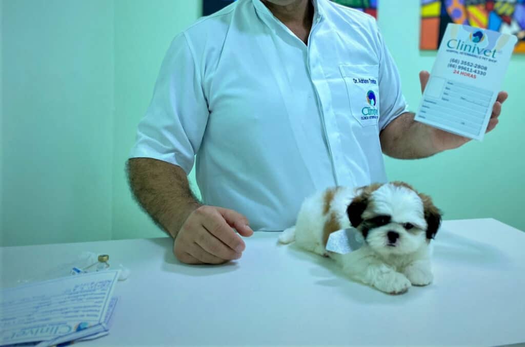 A carteira de vacinação do pet é importante para atestar a saúde do animal. Foto: Divulgação