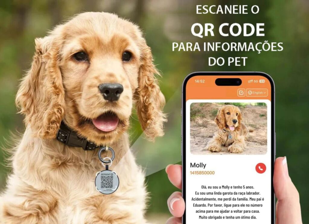 A plaquinha de identificação por QR Code é uma maneira eficaz de passar as informações do pet. Foto: Divulgação