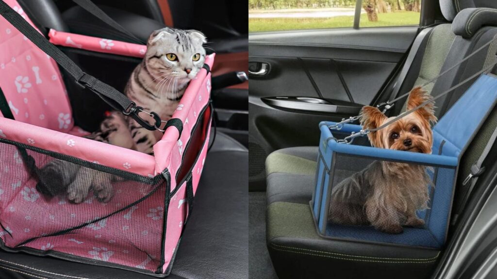 As cadeirinhas automotivas são uma boa alternativa para transportar o animal em viagens e na cidade. Foto: Divulgação